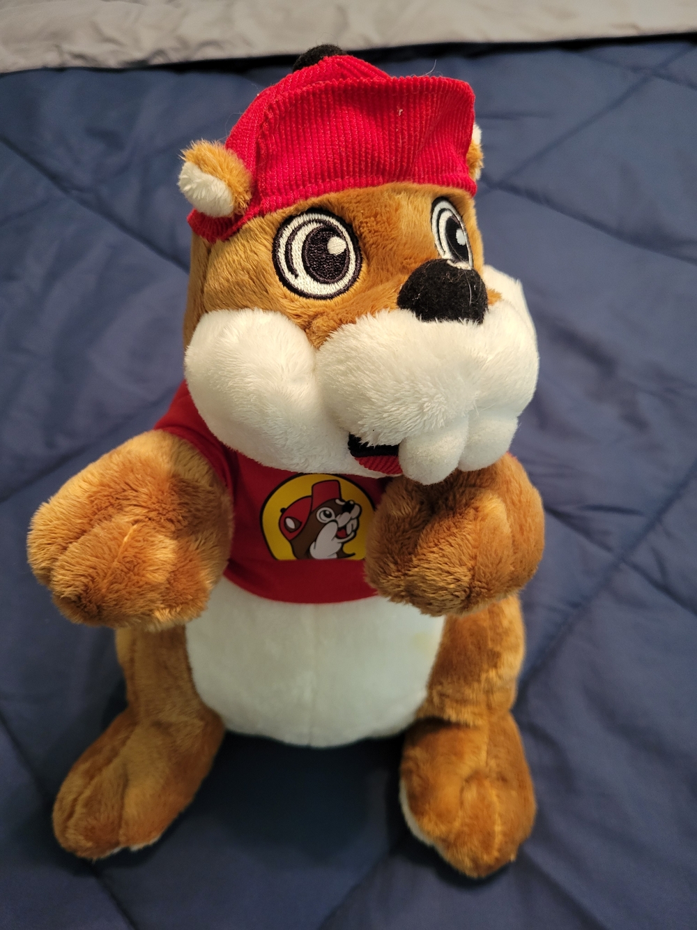 Buc-ee's Beaver Plush in Red Hat and Shirt